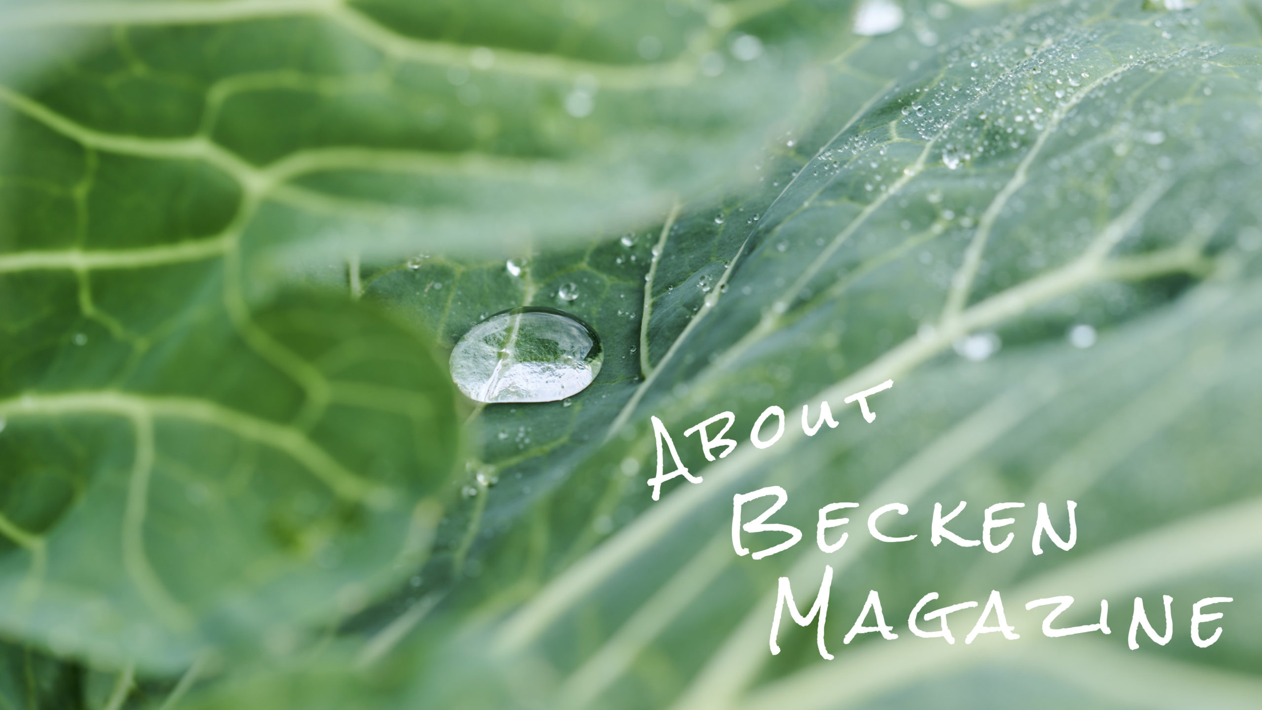 「BECKEN」という思想