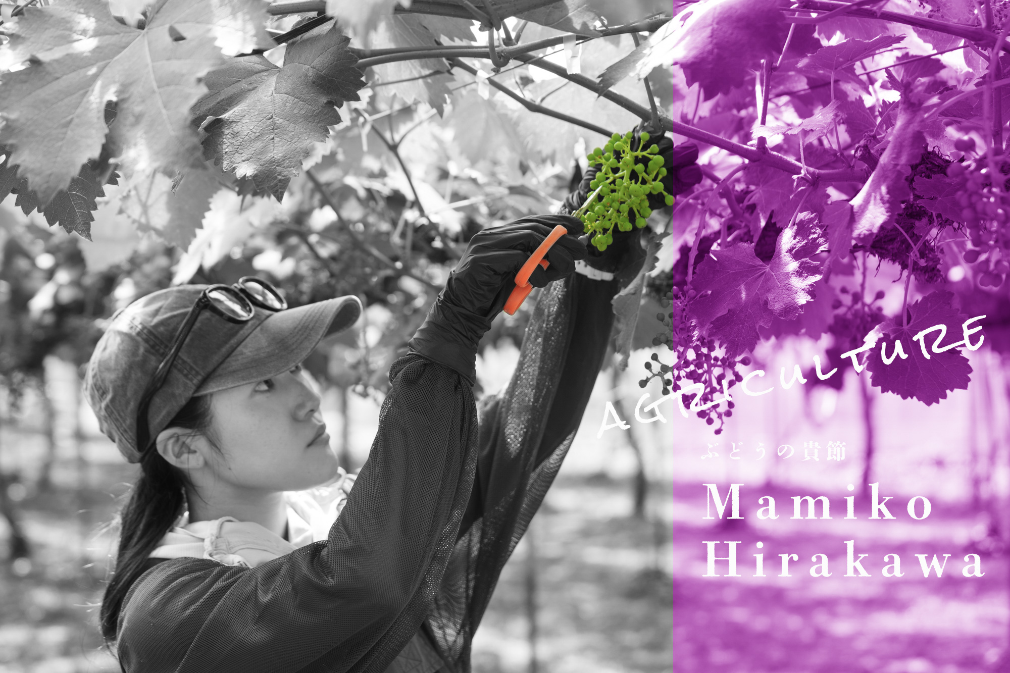 なりたい、その想いに真っ直ぐに。